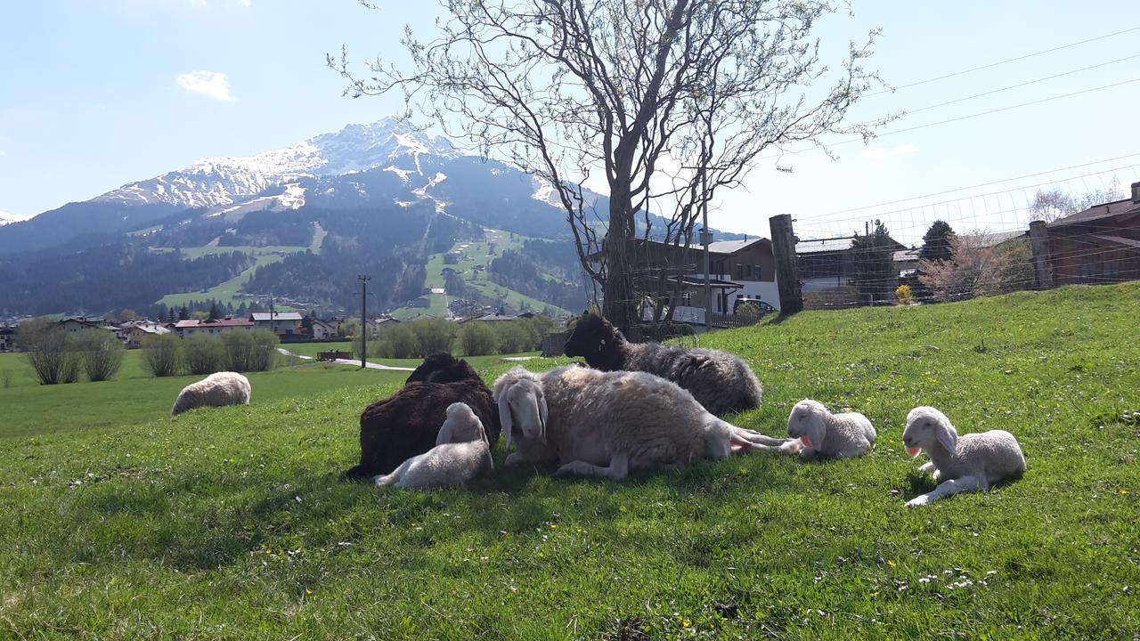 Narzenhof Wellness Chalets, Familien & Luxus Apartments Am Bauernhof Sankt Johann in Tirol Esterno foto