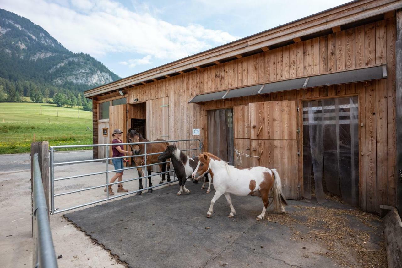Narzenhof Wellness Chalets, Familien & Luxus Apartments Am Bauernhof Sankt Johann in Tirol Esterno foto